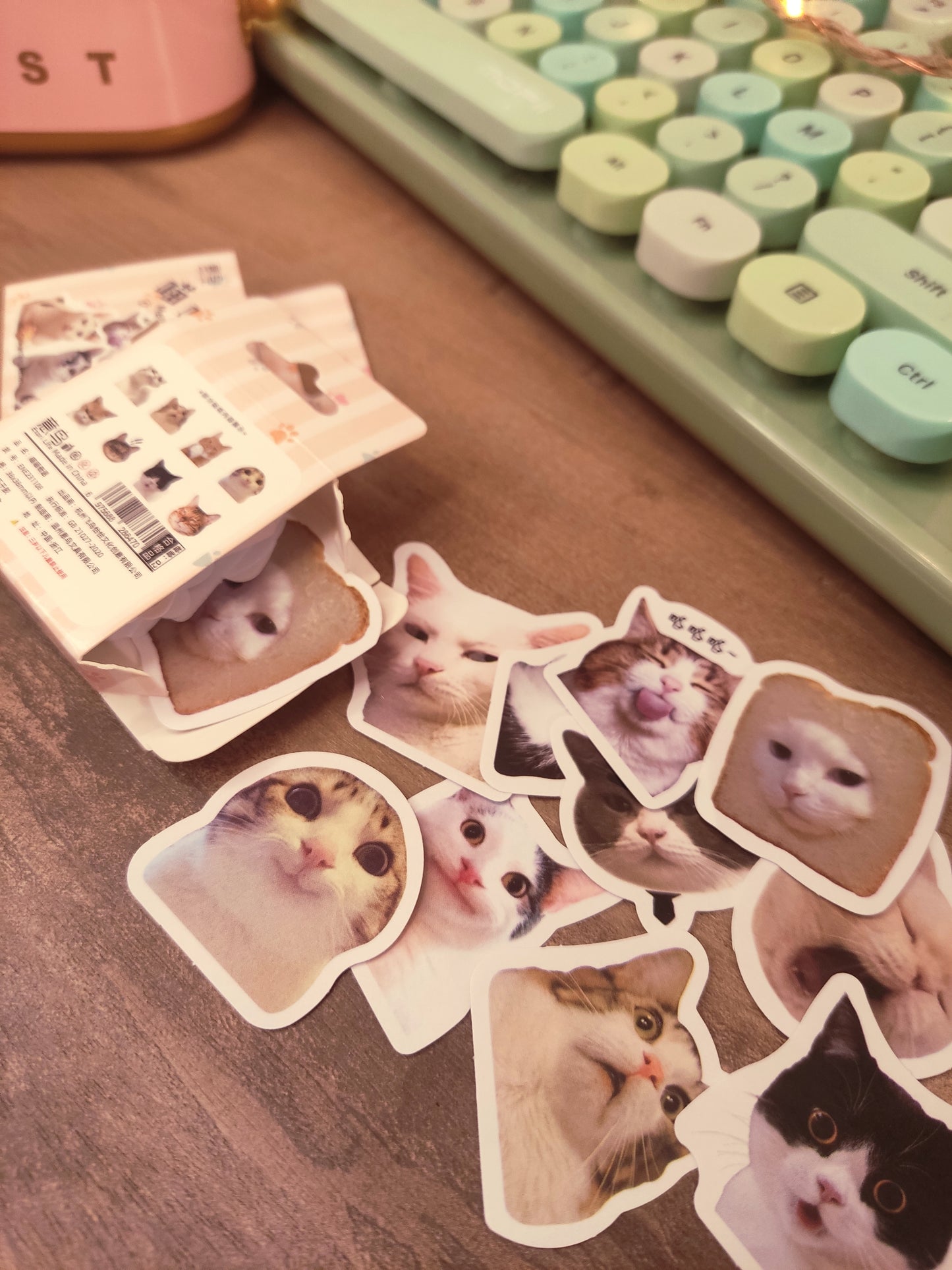 Lot de Stickers Mèmes de Chats | Pack de 46 Stickers Adorables