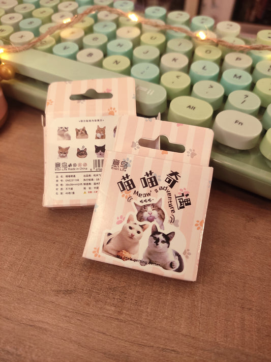 Lot de Stickers Mèmes de Chats | Pack de 46 Stickers Adorables